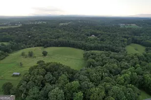 444 Ansley Rd, Demorest, GA 30535 - Photo 38