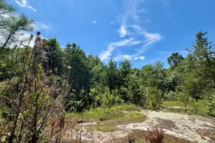 14 21 Acres NW Irwin Bridge Rd, Conyers, GA 30012 - Photo 1