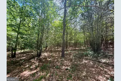 14.21 Acres NW Irwin Bridge Road, Conyers, GA 30012 - Photo 2