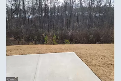 275 Southridge, Senoia, GA 30276 - Photo 36