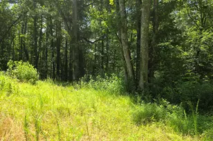 1347 Windom Rd, Tallapoosa, GA 30176 - Photo 26