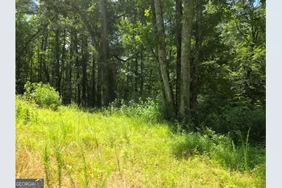 1347 Windom Road, Tallapoosa, GA 30176 - Photo 28