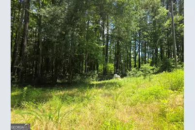 1347 Windom Road, Tallapoosa, GA 30176 - Photo 24