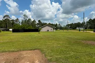 354 Peach Ln, Baxley, GA 31513 - Photo 24