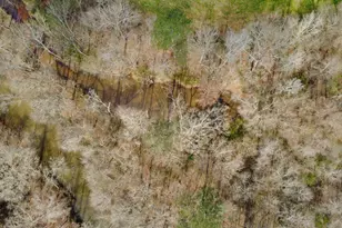 138 Lewis Rd, Jackson, GA 30233 - Photo 8