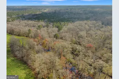 138 Lewis Road, Jackson, GA 30233 - Photo 14