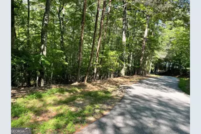 0 Rizzitello Lane #5, Blairsville, GA 30512 - Photo 1