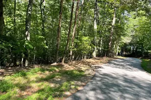 0 Rizzitello Ln, Blairsville, GA 30512 - Photo 1