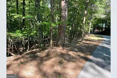 0 Rizzitello Lane #5, Blairsville, GA 30512 - Photo 2