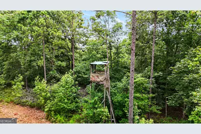 0 Howard Road, Roberta, GA 31078 - Photo 12