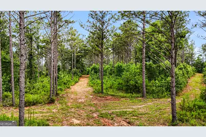 0 Howard Road, Roberta, GA 31078 - Photo 8
