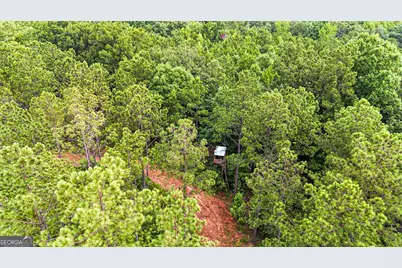 0 Howard Road, Roberta, GA 31078 - Photo 4