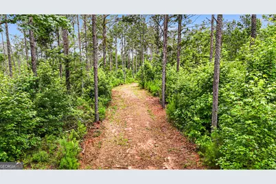 0 Howard Road, Roberta, GA 31078 - Photo 14