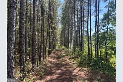 Tbd Wriley Road, Mcintyre, GA 31054 - Photo 16
