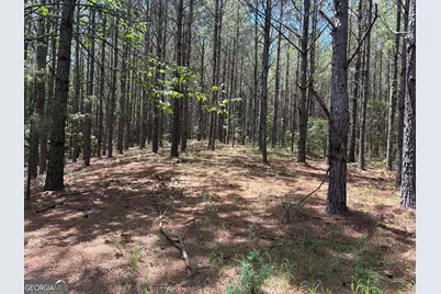 Tbd Wriley Road, Mcintyre, GA 31054 - Photo 4