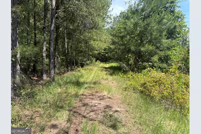 Tbd Wriley Road, Mcintyre, GA 31054 - Photo 18