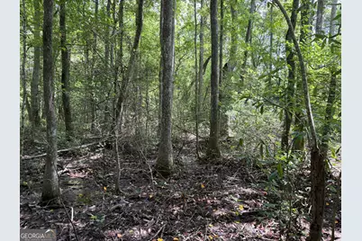 Tbd Wriley Road, Mcintyre, GA 31054 - Photo 26