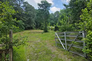 374 Smith Rd, Newnan, GA 30263 - Photo 4
