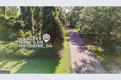 V/L 81 Marys Drive, Woodbine, GA 31569 - Photo 1