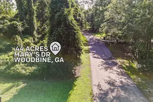 V/L 81 Marys Dr, Woodbine, GA 31569 - Photo 1