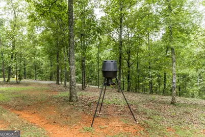 1768 Thomaston Highway, Butler, GA 31006 - Photo 28