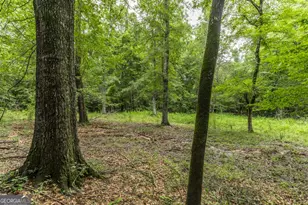1768 Thomaston Hwy, Butler, GA 31006 - Photo 34
