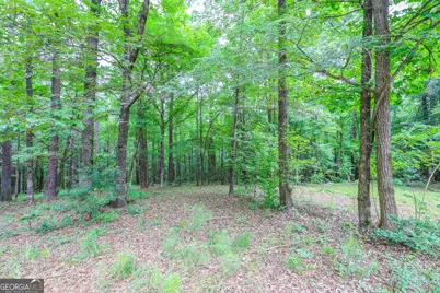 168 Williams Road, Lagrange, GA 30240 - Photo 50