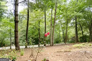 169 Autumn Ln, Blairsville, GA 30512 - Photo 60