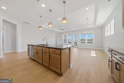 71 Ballyfin Way, Newnan, GA 30263 - Photo 12