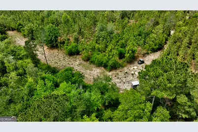 2474 Rushing Boone Road, Reidsville, GA 30453 - Photo 12