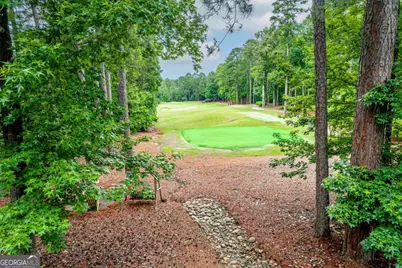 1051 Cawthorne Lane, Greensboro, GA 30642 - Photo 6