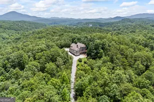 482 Miners Mountain Rd, Sautee Nacoochee, GA 30571 - Photo 152