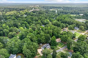 141 Sherrell's Frd Dr, Senoia, GA 30276 - Photo 56