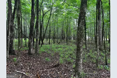 213 Winding River Road, Eatonton, GA 31024 - Photo 2