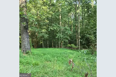 205 Whitewater Road, Demorest, GA 30535 - Photo 14