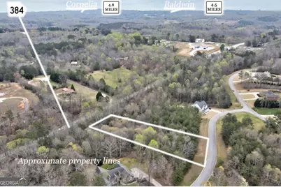 450 Beachwood Drive, Cornelia, GA 30531 - Photo 6
