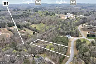 450 Beachwood Dr, Cornelia, GA 30531 - Photo 6