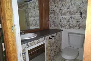 71 Frances White Rd, Buchanan, GA 30113 - Photo 38