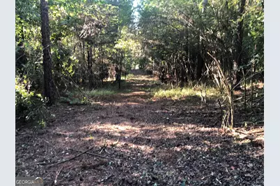 Lot #10 2688 Road, Thomaston, GA 30286 - Photo 6