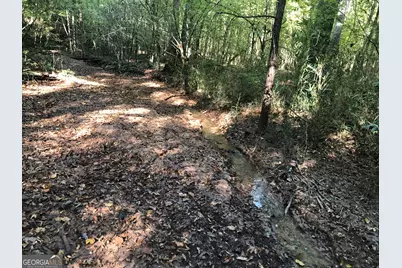 Lot #10 2688 Road, Thomaston, GA 30286 - Photo 20