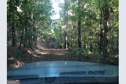 Lot #10 2688 Road, Thomaston, GA 30286 - Photo 10