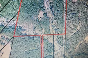 Lot #10 2688 Rd, Thomaston, GA 30286 - Photo 1