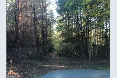 Lot #10 2688 Road, Thomaston, GA 30286 - Photo 8