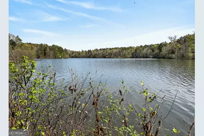 955 Mocassin Gap Road, Locust Grove, GA 30248 - Photo 54