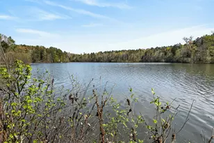 955 Mocassin Gap Rd, Locust Grove, GA 30248 - Photo 54