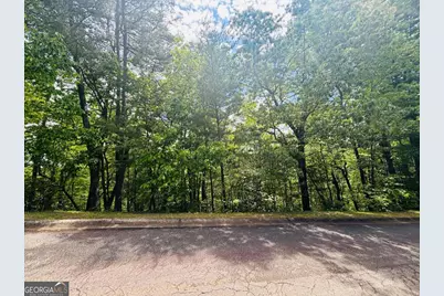 0 Rosen Strasse - Lot 141, Helen, GA 30545 - Photo 10