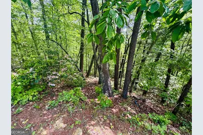 0 Rosen Strasse - Lot 141, Helen, GA 30545 - Photo 6