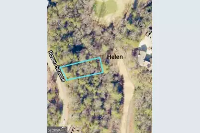 0 Rosen Strasse - Lot 141, Helen, GA 30545 - Photo 4