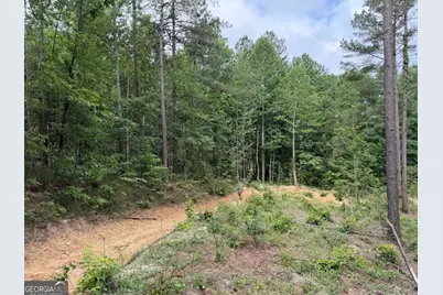 0 Mt. Sinai #LOT 3, Lula, GA 30554 - Photo 52