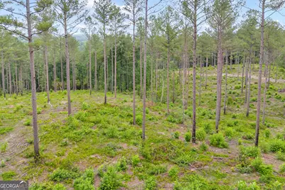 0 Mt. Sinai #LOT 3, Lula, GA 30554 - Photo 24